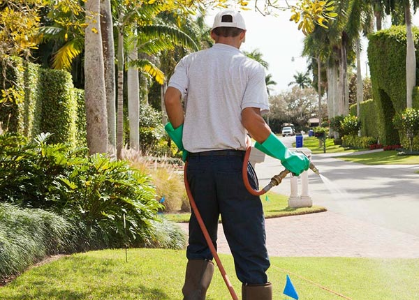 About Carthage AR Pest Control Pros